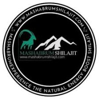 MashaBrum Shilajit logo - Similar company to Mahaved Healthcare Pvt. Ltd.