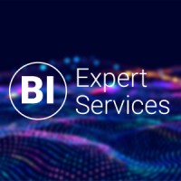 BI Expert Services logo - Similar company to Ist Secure