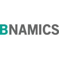 BNAMICS logo - Similar company to Mv-Bim