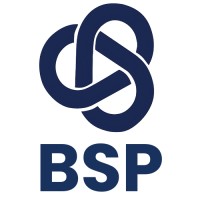 Business Succession Partners (BSP) logo - Similar company to Ottomin Investment Group