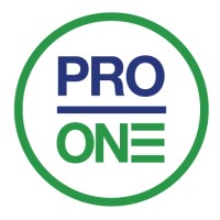 Professional One logo - Similar company to Ultigration Co., Ltd