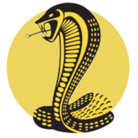 Cobra Tutoring
