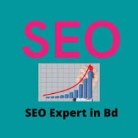 SEO Specialist BD logo - Similar company to Manager Seo