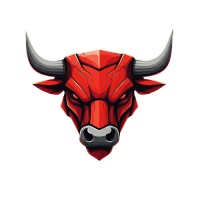 Skyline Bulls Technology logo - Similar company to Vrsd Consulting - Consultanță Fonduri Europene