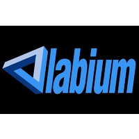 Labium logo - Similar company to Vgd Poland