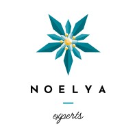 NOELYA logo - Similar company to Cofidest