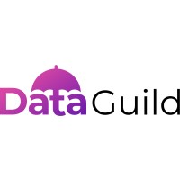 Data Guild logo - Similar company to Gstat