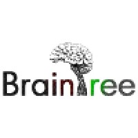 BrainTree Consultancy Services logo - Similar company to Braintree