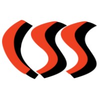 CSS Information Consulting logo - Similar company to Css Consulting