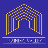 TRAINING VALLEY (M) SDN BHD logo - Similar company to Capsontech.In-Skill Development Center