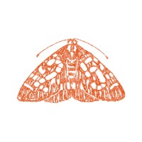 The Moth logo - Similar company to Encantos