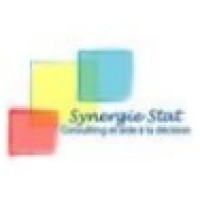 Synergie Stat, Consulting et aide à la décision logo - Similar company to Sieb Ingenierie