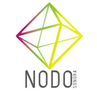Nodo Sonora logo - Similar company to Ebm Consulting