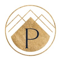 Pinnacle CFO Services logo - Similar company to Tulabooks