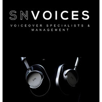 SN VOICES MANAGEMENT logo - Similar company to Wonky Lemon