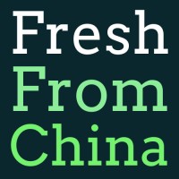 FreshFromChina logo - Similar company to Intellectx Solutions