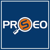PRO SEO Web Design logo - Similar company to Kaplan Seo Network