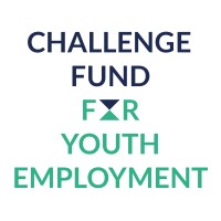 Challenge Fund for Youth Employment logo - Similar company to 249Startups