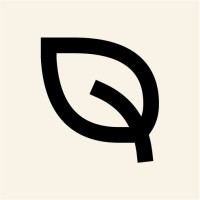Bloomweb Webflow Agency logo - Similar company to Hilvy 🔮
