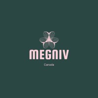 MegNiv Canada logo - Similar company to Data Consultant