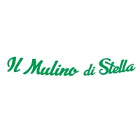 Il Mulino Srl logo - Similar company to Teleporting Ltd
