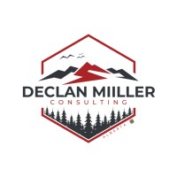 Declan Miiller Consulting