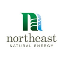 Northeast Natural Energy logo - Similar company to Infinity Natural Resources