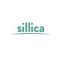 Sillica logo - Similar company to Setre - Serviços E Treinamentos