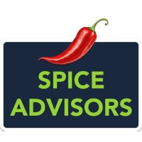 Spice Advisors logo - Similar company to Openbi