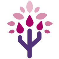 Titiro Digital logo - Similar company to Laccioland Studio