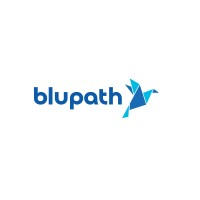 Blupath Technologies logo - Similar company to Strategyblocks