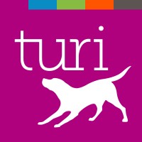 Turi logo - Similar company to Runllm