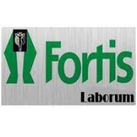 FORTIS LABORUM EIRL logo - Similar company to T&M Security Corp
