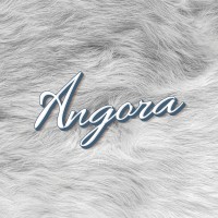 Angora logo - Similar company to Comnow1 Inc.