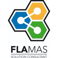 Flamas Technology Consultant logo - Similar company to Technology Consultant