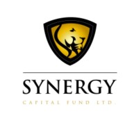 Synergy Capital Fund LTD logo - Similar company to Dsm Consulting Group