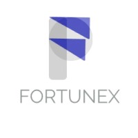 Fortunex Systems logo - Similar company to Visernic Limited