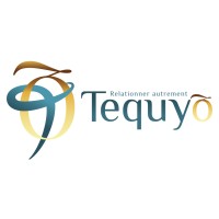 TEQUYO logo - Similar company to Flvisual