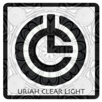 Clear Light Ventures logo - Similar company to Kleeq