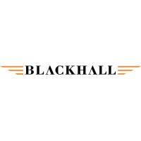 The Blackhall Group, LLC logo - Similar company to Alliances Progress