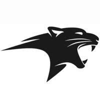 PANTHER logo - Similar company to T-Mails