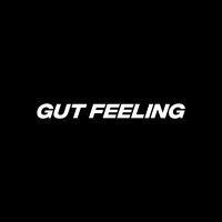 GUT FEELING HOSPITALITY LLP logo - Similar company to Adunit Media Network Llp