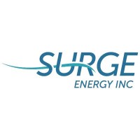 Surge Energy Inc logo - Similar company to Speedsolutions