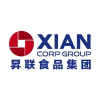 Xian Group logo - Similar company to De La Valley Ltd.