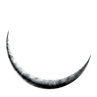 Iara logo - Similar company to Brifw