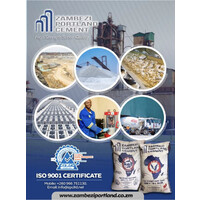 Zambezi Portland Cement Ltd logo - Similar company to Dots Engineering Ltd