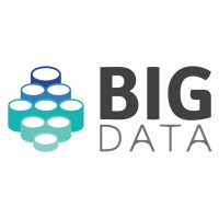 Big Data Consulting logo - Similar company to Big Data Consulting