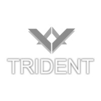 Trident Industries logo - Similar company to Vibronics