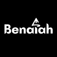Benaiah | በናያስ logo - Similar company to Ema Import Export