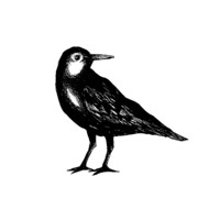 Tidal Flats logo - Similar company to Shardlab